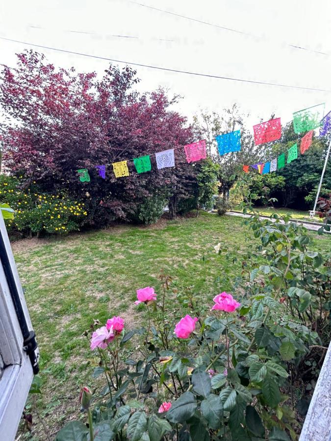 Hotel Purple Fox Ancud Exterior foto